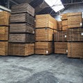 C16 Construction Timber Tanalised Structural Wood 3x2 at 4.8m