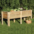 Deep Root Planter 1.8M