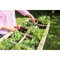 Raised Herb Bed