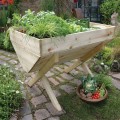 Veg Bed 1M